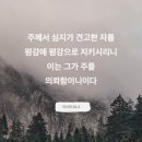 이사야주