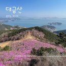 봄 산행 명소 2, 분홍빛 진달래와 남해 바다의 만남, 거제 대금산 후기