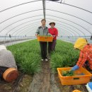 성주슈퍼 이미지