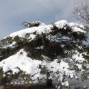 다운목장 이미지