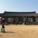 황무로 2 이미지