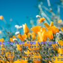 8월15일(월), 기울어진 운동장을 바로 잡는 교회가 되기를! 이미지