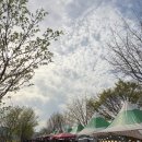 제7회 불우이웃을 위한 우리춤 공연 | 2026 제 21회 창녕 낙동강 유채 축제 남지체육공원 마지막날 방문후기