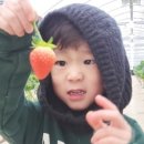 창뜰농장 네이버블로그