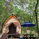 C16 | 서울 근교 가성비 끝판왕 병목안 캠핑장 제3캠핑장 고정식 텐트 C16 후기