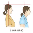 스마트짐 PT&필라테스 이미지
