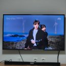 용필목장 | 웰컴투삼달리 촬영지, 제주 서쪽 드라이브 가볼만한곳 싱계물공원, 신창풍차해안도로 (+돌고래)