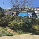 외도조경식물원 | 거제 바다의 숨겨진 보석, 해금강 외도유람선과 함께한 황홀한 시간