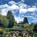 피나클랜드 이미지