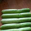 진들농장 이미지