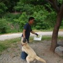 수원-0757 이미지