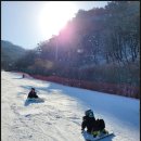 설천면102 | 무주스키장 스키강습 후기, 무주스키강습렌탈로 제대로 배워봤어요