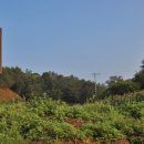 삼척산양농산촌체험마을 이미지