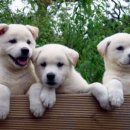 우애농장 이미지