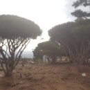 영민농장 이미지