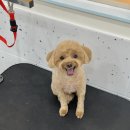 올치유치원 이미지