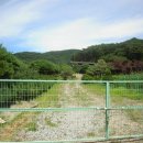 창기농장 이미지