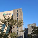 광령포레하우스302호 | 강화도 숙소 추천, 라르고빌 리조트 전객실 오션뷰 NOL 호텔 펜션