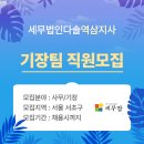 세무회계다솔 티스토리