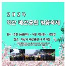 익산 배산공원 벚꽃축제🌸 숙소정보🌸 이미지