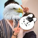 동양한증막 | [여행김꽈자] 프리미엄 찜질방! 인천 영종도 파라다이스시티 씨메르 : 찜질스파존 이용 방법, 후기!