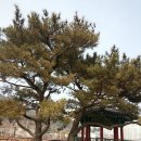 들성생태공원 이미지