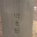 약초원약국 | 망원동 카페 약초원 힐링하기 좋은 장소:)