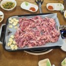 오리와돼지 이미지