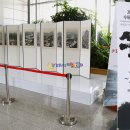 2017 전남 국제 수묵프레비엔날레 목포 갓바위권 유달산권 진도 운림산방권 수묵화 전남문화관광재단 이미지