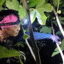 영암햇살농장 이미지