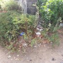 원미구 길주로 267 이미지