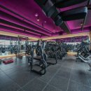 머슬팩토리24 경상대점 이미지