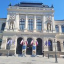 삼중카랜드 이미지