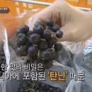 입암농장 이미지