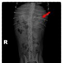 유앤동물의료원 이미지