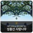 여로떡방앗간
