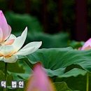 꿈마을동산 이미지