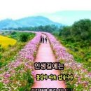 구름에달가듯이 이미지