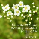 중앙성결교회 이미지