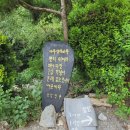 근우회 정기모임(안면도 앞 소도섬)2. 이미지