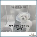 임재성동물의료센터 이미지