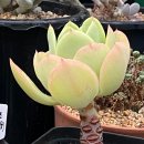 근형농장 이미지