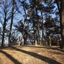 팔용동서식품 이미지