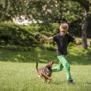 위즈동물메디컬센터 이미지