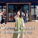 워니렌트 | 후쿠오카 버스투어 쿠스휴게소 세븐일레븐 편의점 꼭 먹어봐야하는 요구르트