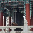 삼덕네거리 서편 이미지