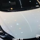 셀세모덕신, 남창점 네이버블로그