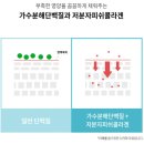 (주)라비앙 | 라비앙독 강아지 사료 후기 피부·눈물·알러지 케어 정착템