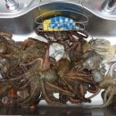 주리Sea 협재 이미지