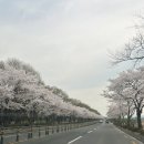 힐링빌리지 | 경주 한화리조트 담톤 아기랑 뽀로로 아쿠아빌리지 이용후기 (17개월 29개월 아기 만족)